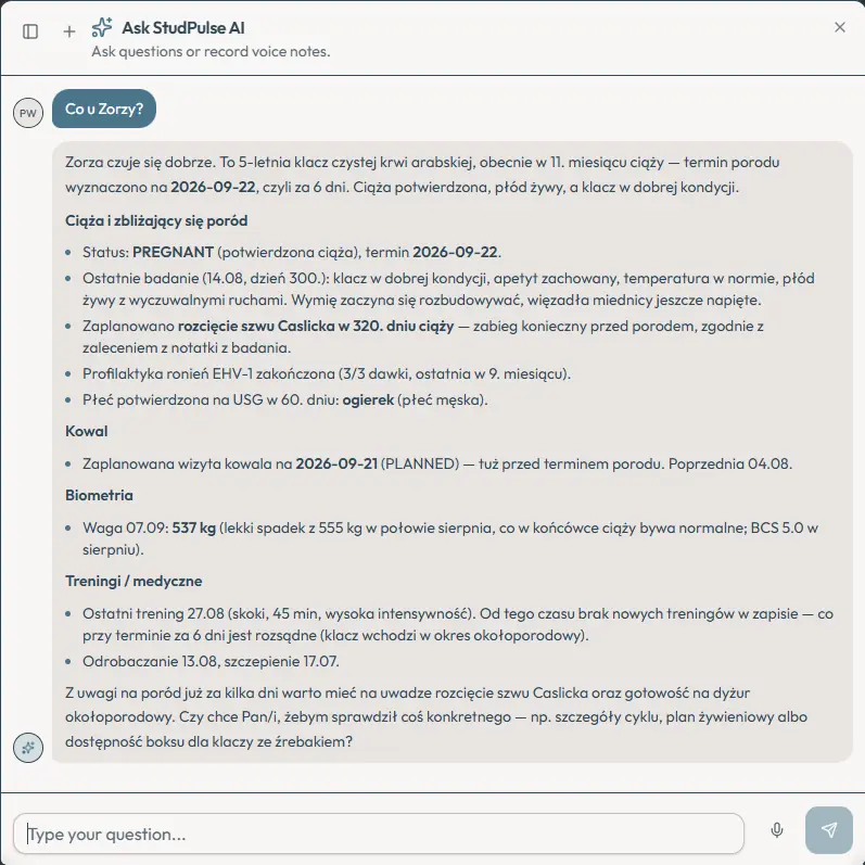 Asystent odpowiada na „Co u Zorzy?” statusem źrebności i terminem porodu za sześć dni, ostatnim badaniem z 300. dnia, zakończoną profilaktyką EHV-1 i płcią źrebięcia z badania w 60. dniu, a dalej wizytą kowala, masą ciała, ostatnim treningiem i przypomnieniem o zaplanowanym rozcięciu szwu Caslicka przed porodem.
